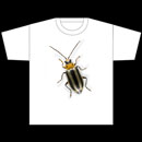 Cucumber Bettle T-Shirt